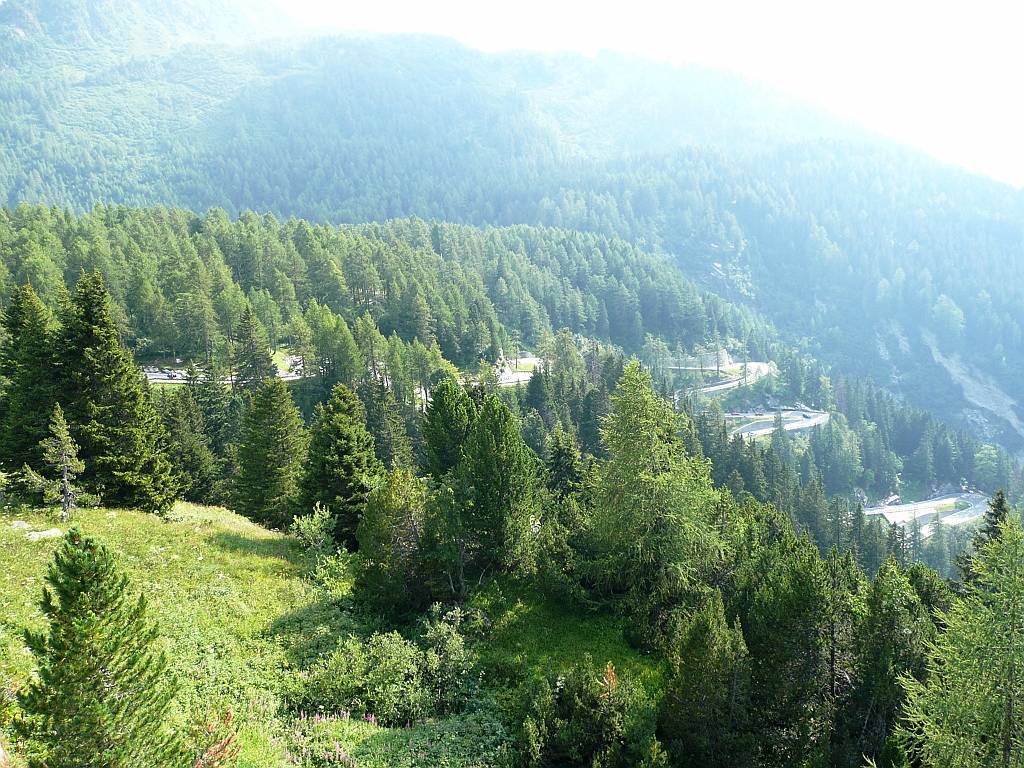 54 Am Malojapass_01-08-2009.JPG